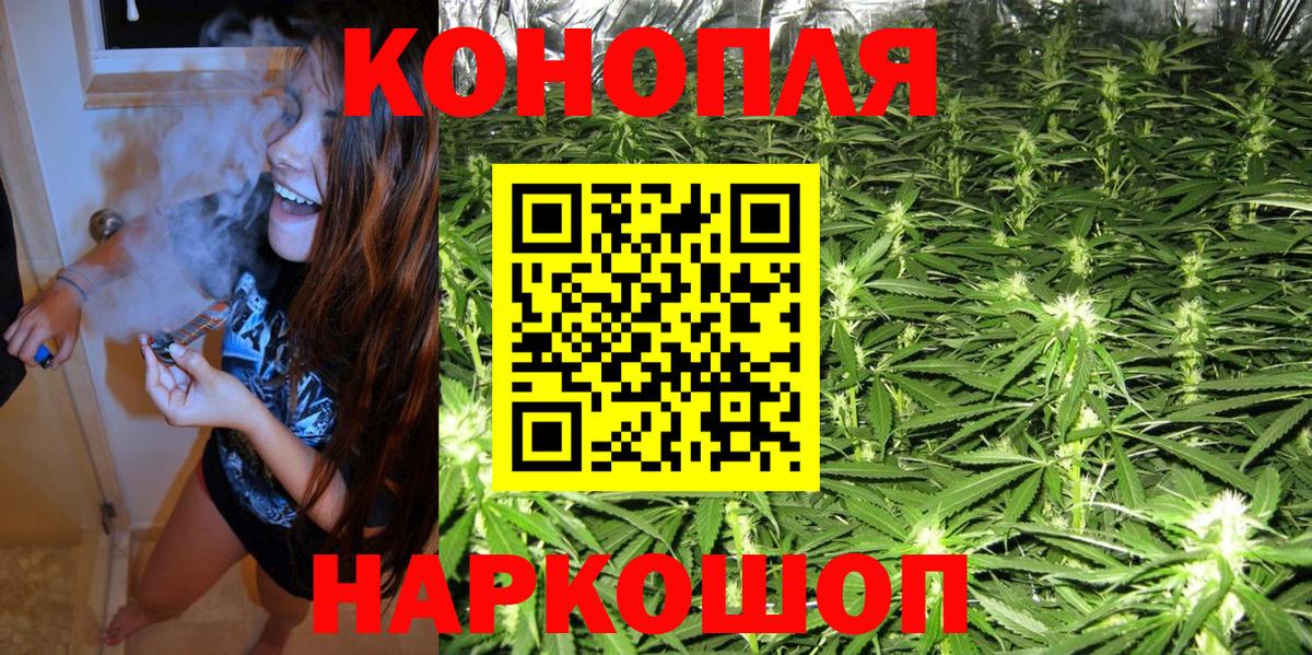 Конопля SATIVA & INDICA Курчалой